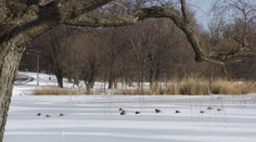 Volala ich na večeru, no už sa neozvali. Dvojčatá (†7) sa prepadli pod ľad, mama za nimi skočila