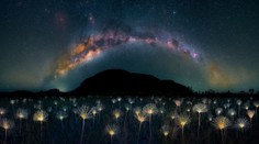 FOTOGALÉRIA: Ohurujú krásou aj nútia človeka sa zamyslieť. Ocenili najpozoruhodnejšie snímky prírody