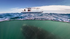 Najlepší záber roka? Tu je fotografia, ktorá by si toto ocenenie zaslúžila