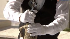 Chorvát vyrába víno pod morskou hladinou. Má na to zaujímavú teóriu