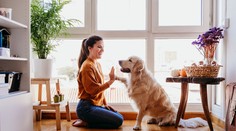 Vedci tvrdia, že už čoskoro budeme môcť hovoriť so zvieratami. Umožní to tento prístroj