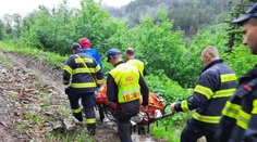 Dva útoky medveďa v priebehu pár dní. Zistili sme, ako sú na tom zranení muži