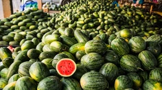 Neviete si vybrať dobrý melón? Poradíme vám ako na to
