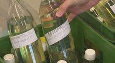 Tankujeme u nás kvalitný benzín či naftu? Zisťovali sme to u odborníkov