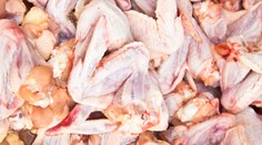 Vraj nás "zaplavia" ukrajinské kurčatá. Kupovali by ste ich?