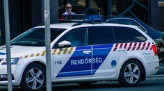 Bizarná situácia v Maďarsku. Polícia naháňala býka v centre Stoličného Belehradu