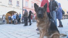 Psíčkari v centre Prešova protestovali proti konzumácii psov