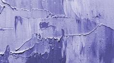 Už je známa farba budúceho roka: Pomenovali ju podľa malej rastlinky