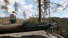 Požiar v Českom Švajčiarsku je zlikvidovaný. Hasiči so živlom bojovali 20 dní