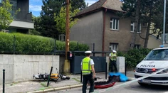 Vodič auta, ktorý zrejme spôsobil smrteľnú nehodu štátneho tajomníka D. Veliča, sa ho po zrážke pokúšal oživovať