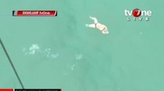 V mori našli viac ako 40 mŕtvych tiel zo zmiznutého lietadla