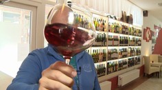 Vedci z Nemecka a Francúzska odhalili, prečo chutí drahšie víno lepšie