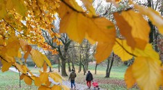 Slnka sa nedočkáme. Počasie zahalí Slovensko do hustých hmiel
