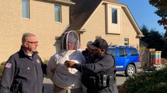 Žena použila tisíce včiel ako nebezpečnú zbraň proti polícii, čelí siedmym obvineniam