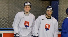 Kudrnu prekvapilo neuznanie gólu: "S dvomi bodmi sme nespokojní"