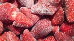 Odborníci reagujú na mrazené jahody z Poľska: Nekonzumujte ich bez tepelnej úpravy