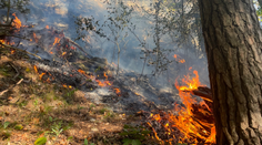 Požiar zachvátil v Slovenskom raji lokalitu Jedľov