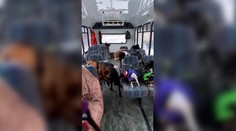 VIDEO: Psí autobus na Aljaške si štvornohí cestujúci obľúbili, čakajú naň každý deň