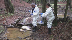 Niet dôvod na paniku. Domáce potraviny na Zemplíne budú kontrolovať