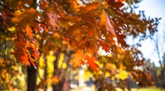 Hmiel je podstatne menej a slnečné lúče budú aj naďalej otepľovať vzduch