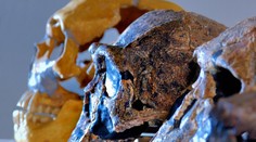 Prví ľudia prišli do Európy pred 1,4 miliónmi rokov cez Ukrajinu, dokazuje výskum