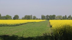 Revolučný vynález v poľnohospodárskom priemysle. Podarí sa zachrániť slovenskú faunu?