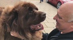 Ak sa veľmi maznáte so zvieracím miláčikom, môžete mu uškodiť