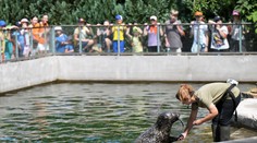 Vtáčia chrípka v košickej zoo: Regionálna veterina rozhodla o jej zatvorení