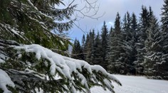 SHMÚ varuje pred víkendovým počasím. Treba rátať so snehovými jazykmi a silnejším vetrom