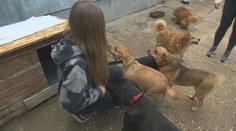 Namiesto študijného predmetu dobročinnosť. Pomoc vysokoškolákov vás chytí za srdce