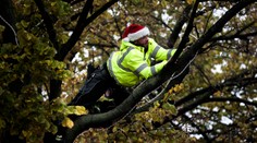 Stále vyzerajú reálnejšie Vianoce na blate ako na ľade