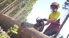 Je žena a pracuje ako drevorubačka. Zuzana sa dostala do mnohých nebezpečných situácií