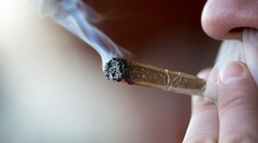 Americká vláda nemení postoj k marihuane, zjednoduší však jej výskum