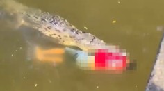 VIDEO: Futbalistu počas kúpania v rieke zabil krokodíl. Aby získali telo nebožtíka, obrovského plaza museli zastreliť
