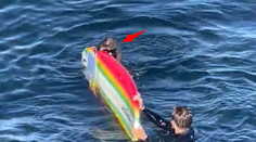 VIDEO: Kalifornských surfistov šikanuje morská vydra. Násilne im kradne surfovacie dosky