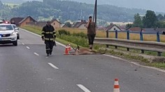 Motorkár sa pri Hybe zrazil s jeleňom, skončil v bezvedomí v nemocnici
