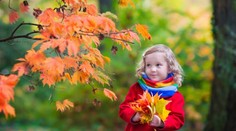 Fotky detí na stránkach pre pedofilov sú od rodičov, ktorí ich zdieľali na Facebooku