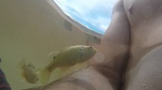 Na muža zaútočila malá rybička. Pohrýzla ho rovno do bradavky