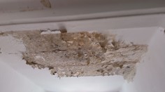 Bratislavskú nemocnicu roky pohlcuje pleseň. Hygienik hovorí o neprípustnom stave, ktorý ohrozuje zdravie