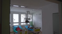 V Brezne sa šíri kliešťová encefalitída. Zistili sme, odkiaľ pochádza nákaza