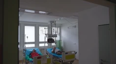 V Brezne sa šíri kliešťová encefalitída. Zistili sme, odkiaľ pochádza nákaza