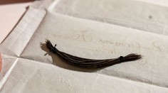 Vedci odhalili príčinu Beethovenovej smrti. Kľúčom bola analýza jeho vlasov