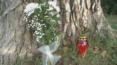 Smrť chlapca v Nitre vyvoláva otázniky: Kto nesie zodpovednosť za osudný strom?