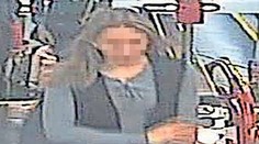 V Rakúsku zatkli 18-ročnú Slovenku, ktorá mala viesť brutálne lúpežné prepadnutie