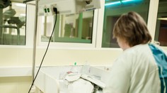 Alisa (†22) zomrela hneď po pôrode: Na povrch vyšiel fatálny omyl zdravotnej sestry