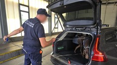 Parádny úlovok bulharských pohraničiarov. Zaistili 206 kilogramov kokaínu v hodnote 20 miliónov