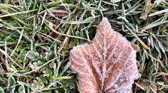 Nečakane skoro. Pre tieto okresy platia výstrahy pred nízkymi teplotami a prízemným mrazom