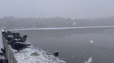 Obyvateľov Zvolena vystrašili neznáme mastné škvrny na hladine priehrady