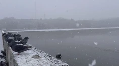 Obyvateľov Zvolena vystrašili neznáme mastné škvrny na hladine priehrady