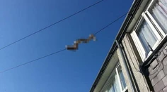Nemali sa pozrieť nad seba. Zbadali niečo hrozivé